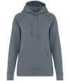 NS422 Native Spirit Ladies Raglan Sleeve Hoodie mineral grey colour image
